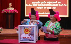 Không khí dân chủ lan toả, các địa phương thực hiện kiểm phiếu theo quy định