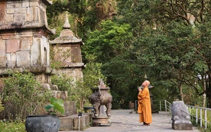 Du hội xuân Ngọa Vân 2026: Hành trình "tiếp lửa" cội nguồn của nhiều thế hệ