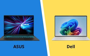 So sánh Asus vs Dell: Từ độ bền đến khả năng đa nhiệm