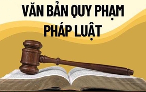 Chính phủ thống nhất nội dung Đề án về tổng rà soát hệ thống văn bản quy phạm pháp luật