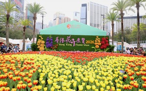  Ấn tượng triển lãm hoa tại Hong Kong (Trung Quốc)