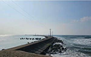 Đại sứ quán Việt Nam phối hợp cơ quan Nhật Bản tìm kiếm cứu nạn công dân mất tích ở biển