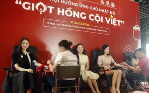 Các hoa hậu, á hậu, người đẹp tham gia hiến máu tại “Chủ nhật Đỏ” Phú Thọ