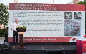 Thịt bò Canada tăng tốc chinh phục thị trường Việt