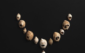 Trang sức 12.000 năm tuổi hé lộ “ngôn ngữ chung” của người tiền sử