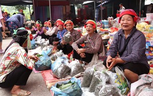 Nhộn nhịp phiên chợ Phương Độ đậm đà hồn quê ở Tuyên Quang