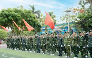 Hệ thống IVS: "Sức bật" văn hóa và hành trình vươn tầm quốc tế