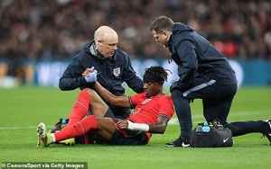 Cả đội hình Arsenal rút khỏi ĐTQG vì chấn thương, fan nghi là chiến lược cho cuộc đua vô địch