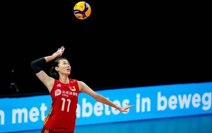 Tin nóng thể thao sáng 31/3: Đội bóng Việt Nam chiêu mộ ngôi sao đến từ nền bóng chuyền top 6 thế giới