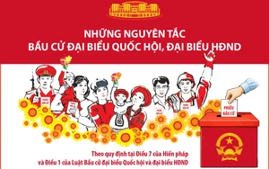 Những nguyên tắc bầu cử đại biểu Quốc hội, đại biểu HĐND