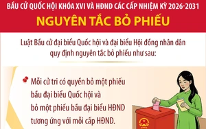 Bầu cử Quốc hội và HĐND: Nguyên tắc bỏ phiếu