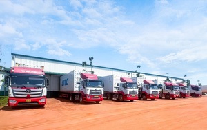 THILOGI tối ưu giải pháp chuỗi lạnh cho trái cây tươi xuất khẩu