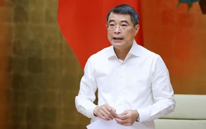 Phân công công tác của Thủ tướng Chính phủ và các Phó Thủ tướng Chính phủ