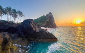 Khách du lịch cùng thả rùa biển quý hiếm bị mắc lưới về môi trường tự nhiên