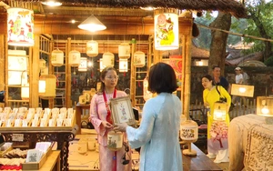 'Vườn ánh sáng' đẹp lung linh thắp sáng di sản tại Văn Miếu