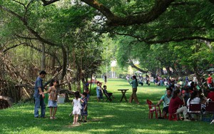 Đà Nẵng: Người dân “trốn” nắng cực gắt dưới bóng cây xanh