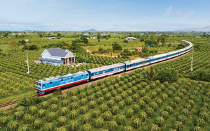 Giải mã xu hướng du lịch hè 2026: Khi trải nghiệm cá nhân hóa lên ngôi và bí quyết cho một chuyến đi "không gợn lo âu"