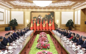 Tổng Bí thư, Chủ tịch nước Tô Lâm hội đàm với Tổng Bí thư, Chủ tịch nước Trung Quốc Tập Cận Bình