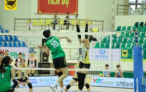 Link xem trực tiếp bóng chuyền VĐQG 2026 hôm nay ngày 16/4: Hà Nội Tasco vs VTV Bình Điền Long An