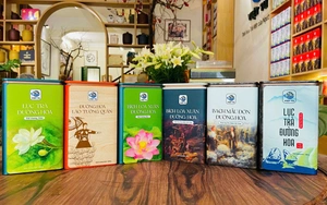 Giữ hồn trong lá trà.... giữa gió biển Quảng Ninh