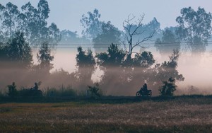 Vẻ đẹp thơ mộng miền quê Cần Thơ trong sương sớm