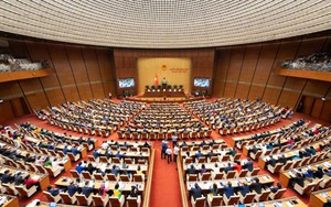 Quốc hội cho ý kiến việc sửa đổi 4 luật về thuế