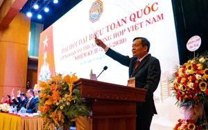 VMMAF: Cá cược trái phép là vi phạm pháp luật, phải kiên quyết xử lý