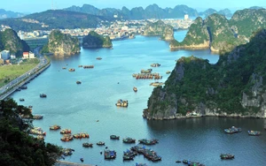 Phê duyệt nhiệm vụ lập Quy hoạch bảo tồn, phát huy tiềm năng vịnh Hạ Long đến năm 2035, tầm nhìn 2050