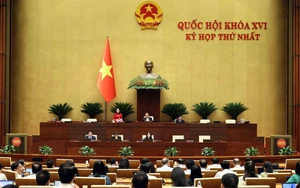 Kỳ họp thứ Nhất, Quốc hội khóa XVI: Hoàn thiện các quy định về thí điểm cơ chế chính sách phát triển văn hóa