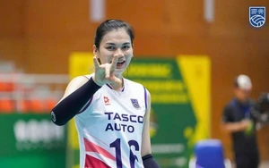 Lịch thi đấu bóng chuyền hôm nay ngày 25/4/2026