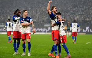 Nhận định Hamburg vs Hoffenheim 23h30 ngày 25/4, vòng 31 Bundesliga