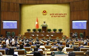 Quốc hội biểu quyết thông qua các nghị quyết và luật