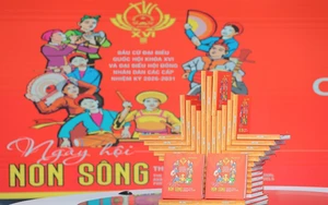 Tái hiện niềm tin, khí thế của 'Ngày hội non sông' qua 800 bức ảnh