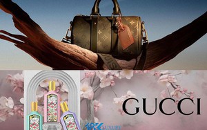 18K Luxury VN và hành trình 10 năm đồng hành cùng ngành thời trang