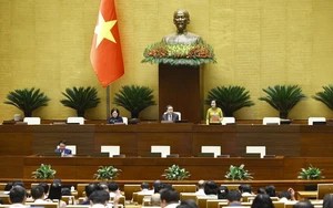 Nghị quyết phê chuẩn kết quả bầu Phó Chủ tịch Hội đồng nhân dân các tỉnh, thành phố