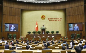 Phê chuẩn kết quả bầu Chủ tịch Hội đồng nhân dân các tỉnh, thành phố nhiệm kỳ 2026 - 2031