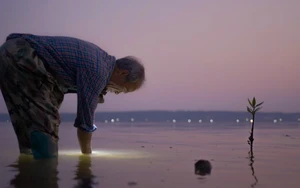 "Voices for Tomorrow": Kể chuyện phát triển bền vững bằng phim tài liệu