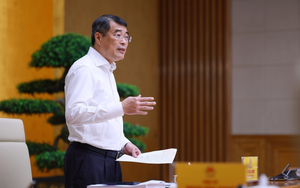 Thủ tướng chủ trì Phiên họp Ban Chỉ đạo phát triển khoa học công nghệ và Đề án 06
