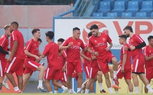 Link xem trực tiếp bóng đá Công an TP.HCM vs SHB Đà Nẵng 18h00 hôm nay, V-League vòng 23