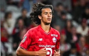 Nhận định Lille vs Le Havre 20h00 ngày 3/5, vòng 32 Ligue 1
