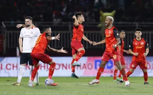 Link xem trực tiếp bóng đá Ninh Bình vs Công an TP.HCM 18h00 ngày 23/5, V-League vòng 24