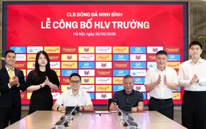 Bóng đá Việt Nam và chuyện những chiếc ghế HLV