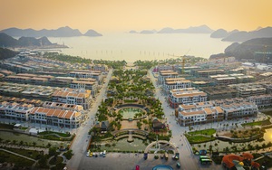Xanh Island: "Chiến mã" kéo dài thời gian lưu trú của du khách Cát Bà