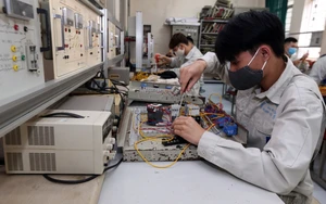Quy định kiến thức văn hóa giáo dục phổ thông trong chương trình đào tạo các ngành, nghề đặc thù