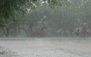 Thời tiết ngày 31/5: Cảnh báo mưa lớn ở Nam Bộ và Lâm Đồng