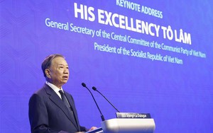 Việt Nam - 'Kiến trúc sư' cho hòa bình và an ninh khu vực