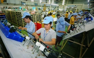 Việt Nam - Ấn Độ: Mở rộng không gian hợp tác thương mại trong giai đoạn mới