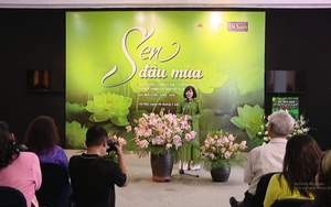Hành trình Di sản và Hòa bình với điểm nhấn về sen trong tháng 5
