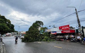 Miền Bắc đón không khí lạnh, mưa dông diện rộng từ đêm mai 7/5