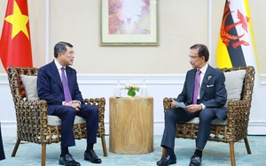 Thủ tướng Lê Minh Hưng gặp Quốc vương Brunei